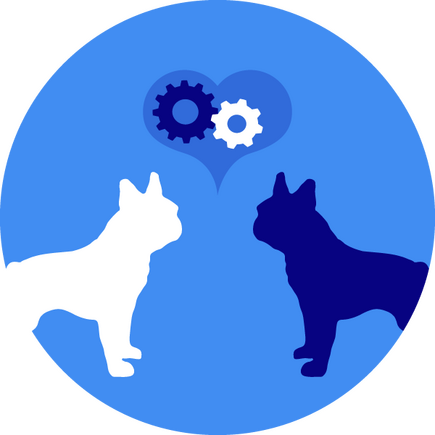 Consulting & Training